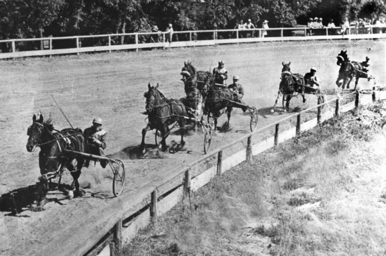 Horses race
