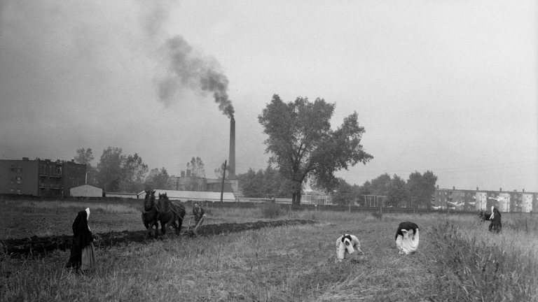 Plowing after the crop